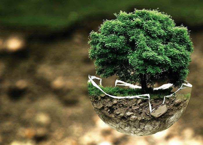 Environmental Impact Assessments